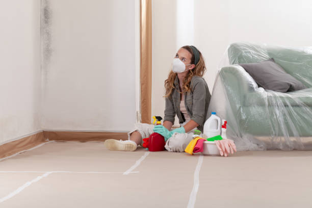 Reliable Mold Inspection contractor in Howell, MI by WQB Mold Removal
