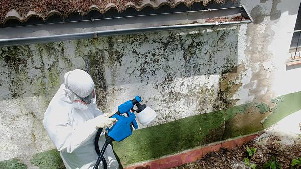 Top rated local Mold Inspection specialists in Howell, MI